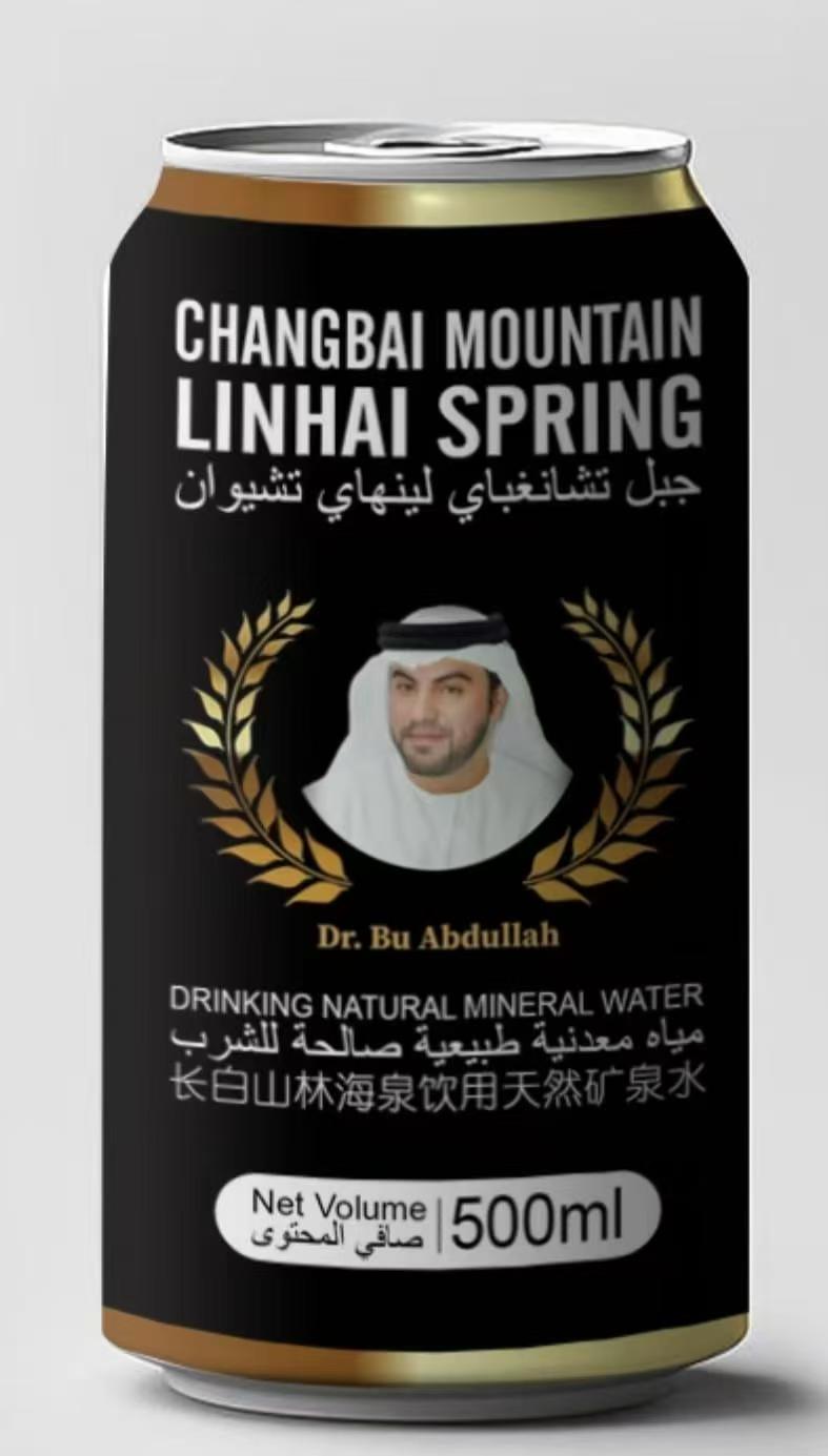 长白山林海泉饮用天然矿泉水500ml装 年货必备